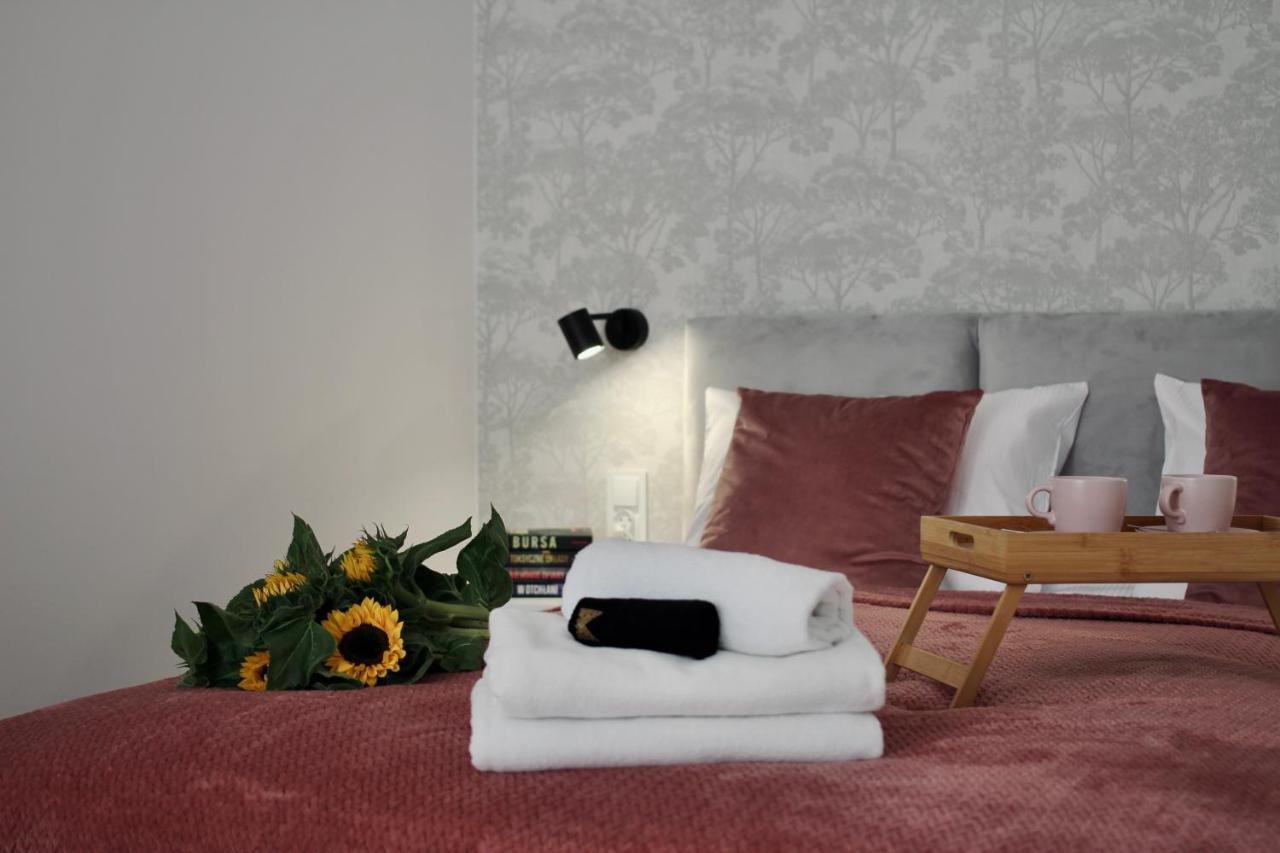 Luna Apartments Jelenia Góra Екстериор снимка